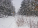IMGP4288.JPG