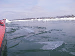 IMGP4490.JPG