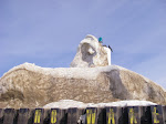 IMGP4521.JPG
