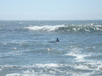 Breaking out at Davenport Landing, Santa Cruz. Surfing Valley Rush Surf Kayak. keithwikle.com