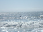DSC00483.JPG