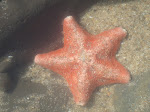 DSC00538.JPG