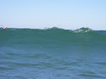IMGP3688.JPG
