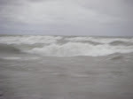 IMGP3797.JPG