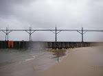 IMGP3778.JPG