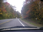 IMGP3962.JPG