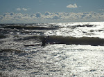 DSC01292.JPG