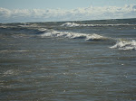 DSC01297.JPG