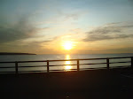 DSC01340.JPG