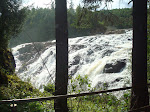 DSC01454.JPG