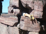 DSC01615.JPG