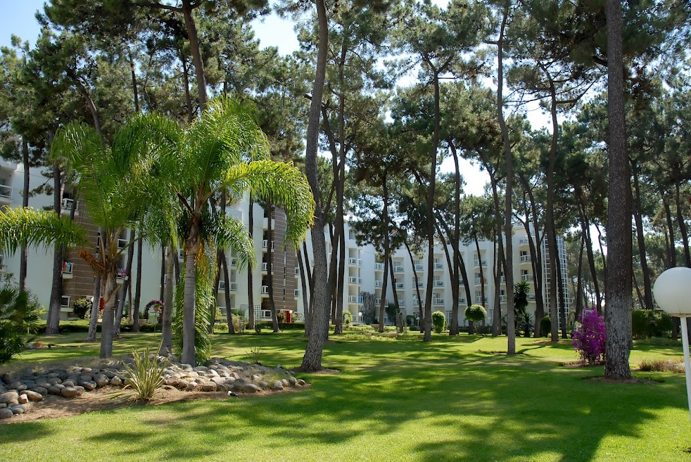 Hotel Las Chapas. Tu hotel en Marbella, Costa del Sol.