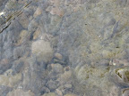 http://lh6.ggpht.com/kolozablocie/SPEE5vOOKOI/AAAAAAAABDY/zvOneHHw1Hc/s144/IMG_0010.JPG