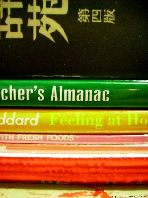 [20080924 rebinding books with padding glue.jpg]