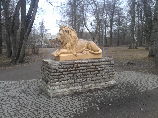 Lowenruh Lion