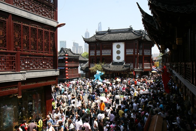 [IMG_48523.jpg]