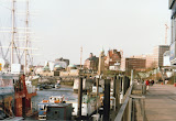 imm005.jpg