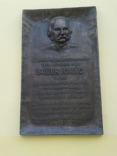 Sauer Ignác