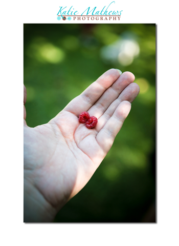 [mn_blog-26[3].png]