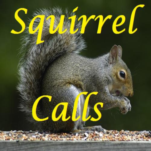 Squirrel Calls LOGO-APP點子