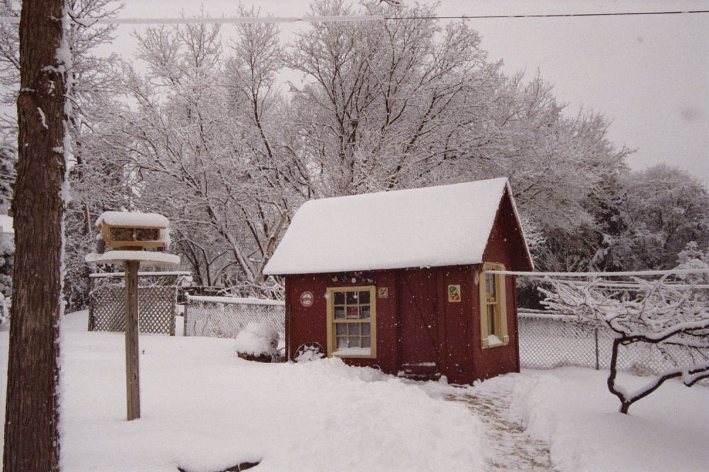 [Red Shed Gardens in Winter_790For email[19].jpg]