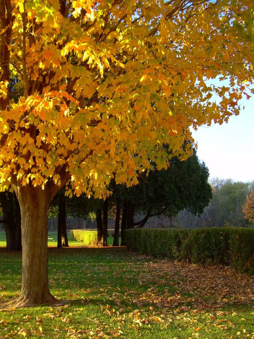 [Pamperin Park Fall 2008 (17)_856For email[11].jpg]