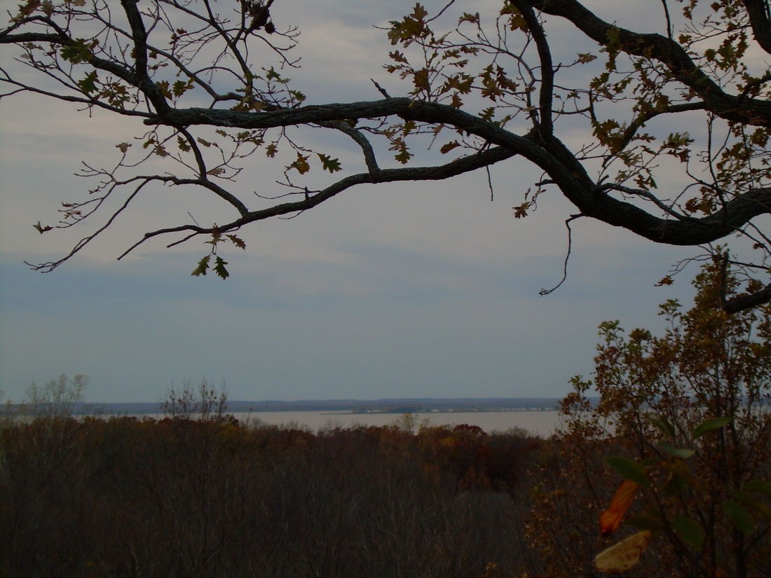 [Larrys house views_926For email[6].jpg]