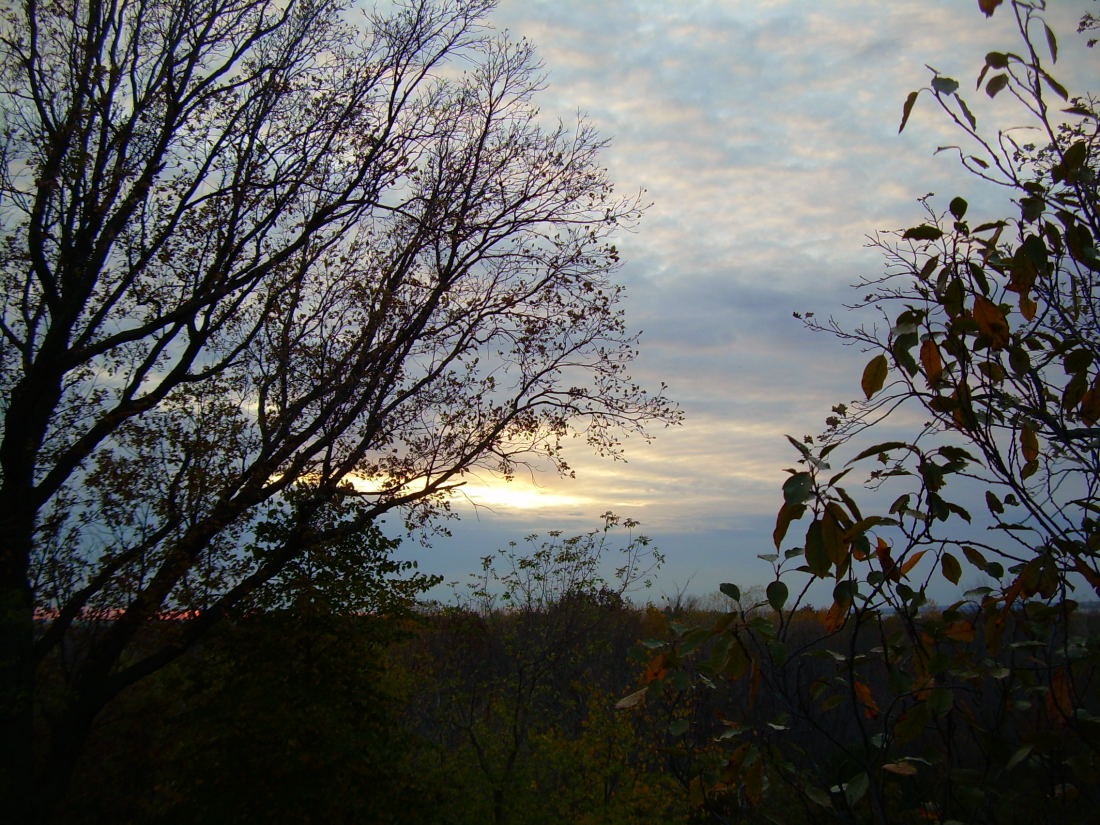 [Larrys house views (8)_922For email[13].jpg]