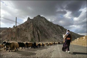 [yaylakadinkoyundaglarkoylu[2].jpg]