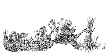 Drawing 383016