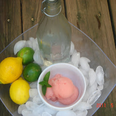 Lemon, Lime Campari Sorbet Float