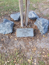 Tree Memorial