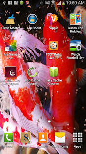 How to download koi live wallpapers lastet apk for android