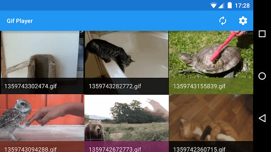 How to install Gif Player 1.0 apk for pc