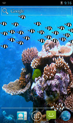 Fish School Wallpaper Free