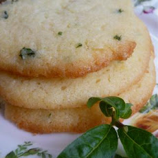 Ellen's Lemon Verbena - Herbal Gardens - Longmeadow