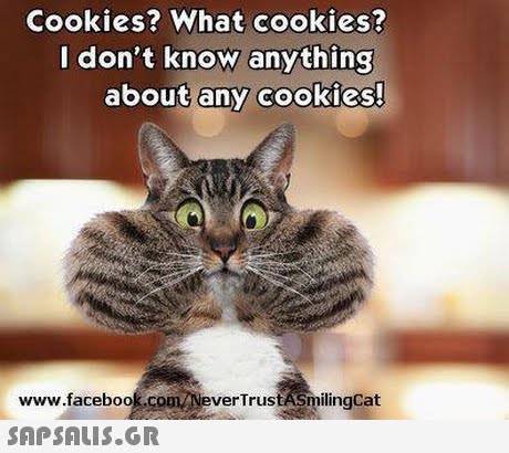 Cookies? What cookies? I don t know anything about any cookies www.flacebook.con evertrustslngCat  verTrustASmilingCat