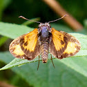 Zabulon Skipper