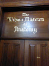 The Wilson Museum of Anatomy