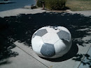 Giant Soccer Ball 