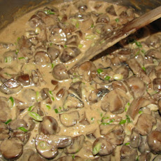Brandied Creamed Mushrooms