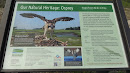 Osprey Habitat, Essex National Heritage Area