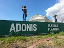 Adonis Plastics