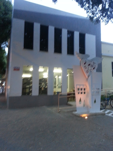 Academia Valadarense de Letras