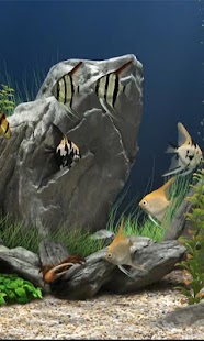 How to download Aquarium Live wallpaper 2.0 apk for laptop