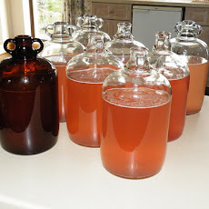 Rhubarb Wine