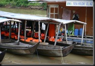 01 Drive to Taman Negara (54)
