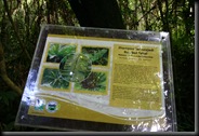 03 Canopy Walk (81)