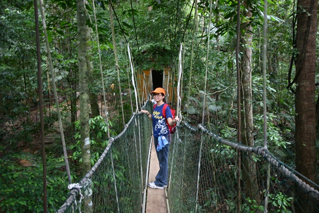 [03 Canopy Walk (157).jpg]
