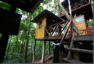 03 Canopy Walk (127)